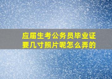 应届生考公务员毕业证要几寸照片呢怎么弄的