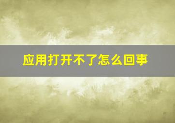 应用打开不了怎么回事