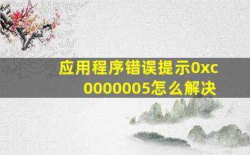 应用程序错误提示0xc0000005怎么解决