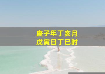 庚子年丁亥月戊寅日丁巳时