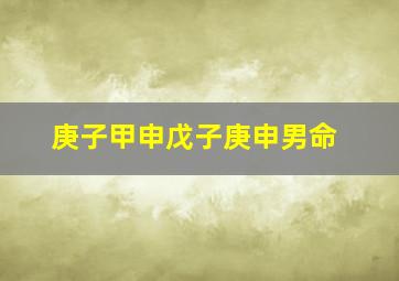 庚子甲申戊子庚申男命