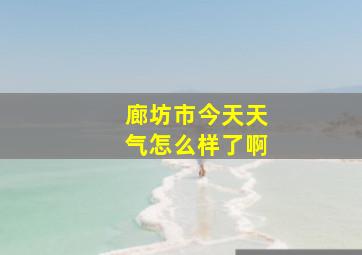 廊坊市今天天气怎么样了啊