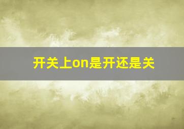 开关上on是开还是关