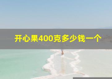 开心果400克多少钱一个