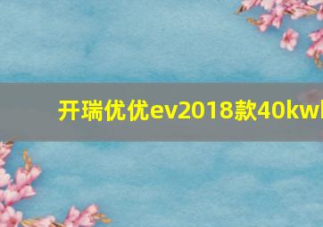 开瑞优优ev2018款40kwh