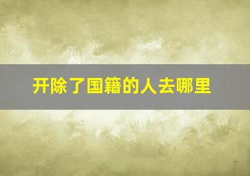 开除了国籍的人去哪里