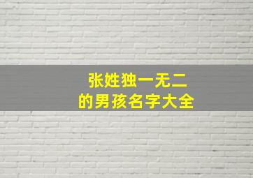 张姓独一无二的男孩名字大全