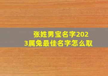 张姓男宝名字2023属兔最佳名字怎么取