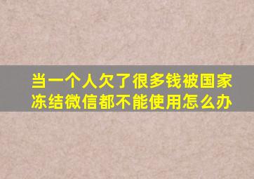 当一个人欠了很多钱被国家冻结微信都不能使用怎么办