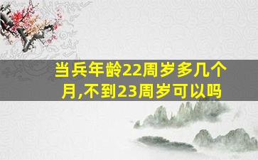 当兵年龄22周岁多几个月,不到23周岁可以吗