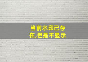 当前水印已存在,但是不显示