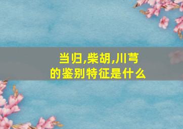 当归,柴胡,川芎的鉴别特征是什么