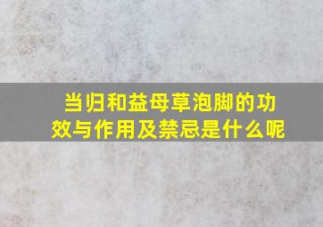 当归和益母草泡脚的功效与作用及禁忌是什么呢