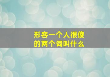 形容一个人很傻的两个词叫什么