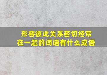 形容彼此关系密切经常在一起的词语有什么成语