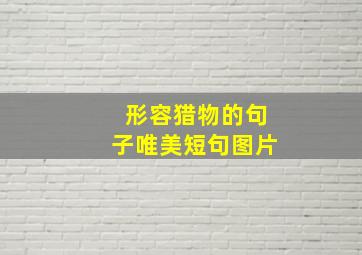 形容猎物的句子唯美短句图片