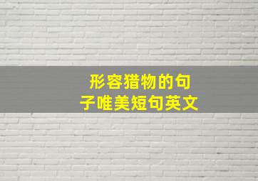 形容猎物的句子唯美短句英文