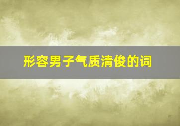 形容男子气质清俊的词