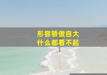 形容骄傲自大什么都看不起