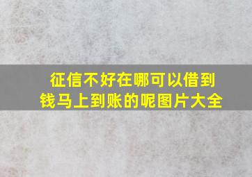 征信不好在哪可以借到钱马上到账的呢图片大全