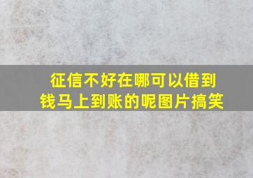 征信不好在哪可以借到钱马上到账的呢图片搞笑