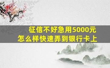 征信不好急用5000元怎么样快速弄到银行卡上