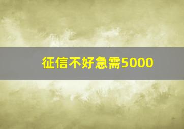 征信不好急需5000