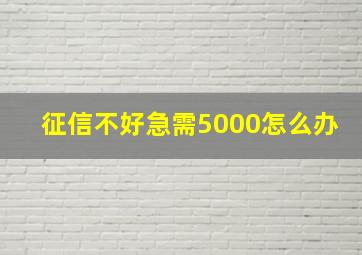 征信不好急需5000怎么办