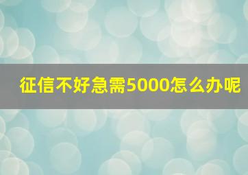 征信不好急需5000怎么办呢