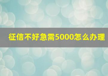 征信不好急需5000怎么办理