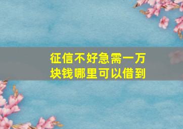 征信不好急需一万块钱哪里可以借到