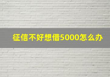 征信不好想借5000怎么办