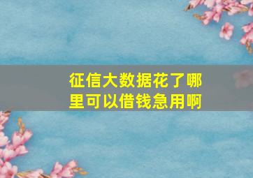 征信大数据花了哪里可以借钱急用啊