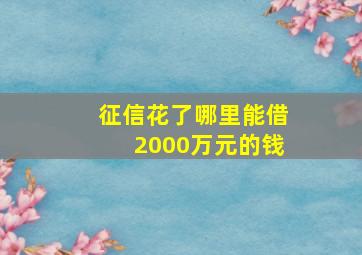 征信花了哪里能借2000万元的钱