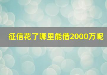 征信花了哪里能借2000万呢