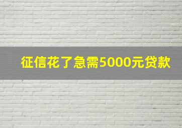 征信花了急需5000元贷款