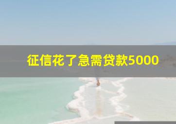 征信花了急需贷款5000