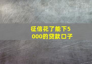 征信花了能下5000的贷款口子