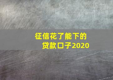 征信花了能下的贷款口子2020