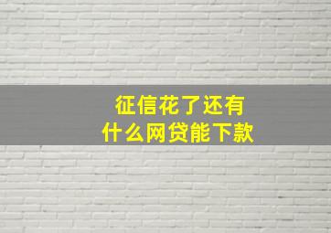 征信花了还有什么网贷能下款