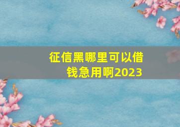 征信黑哪里可以借钱急用啊2023