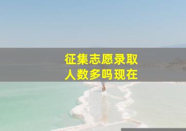 征集志愿录取人数多吗现在