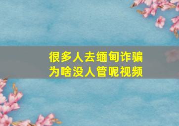 很多人去缅甸诈骗为啥没人管呢视频