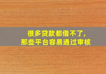 很多贷款都借不了,那些平台容易通过审核