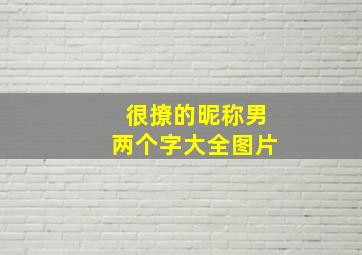 很撩的昵称男两个字大全图片