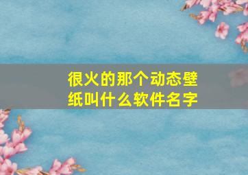 很火的那个动态壁纸叫什么软件名字