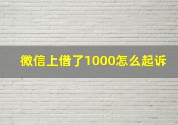 微信上借了1000怎么起诉