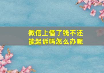 微信上借了钱不还能起诉吗怎么办呢