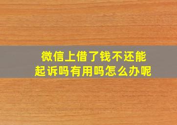 微信上借了钱不还能起诉吗有用吗怎么办呢