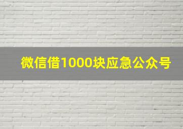 微信借1000块应急公众号